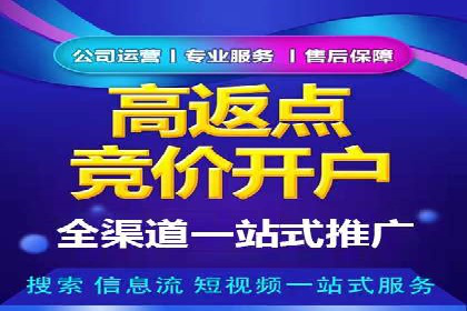 某品牌SEM广告策略揭秘——代运营公司的智慧